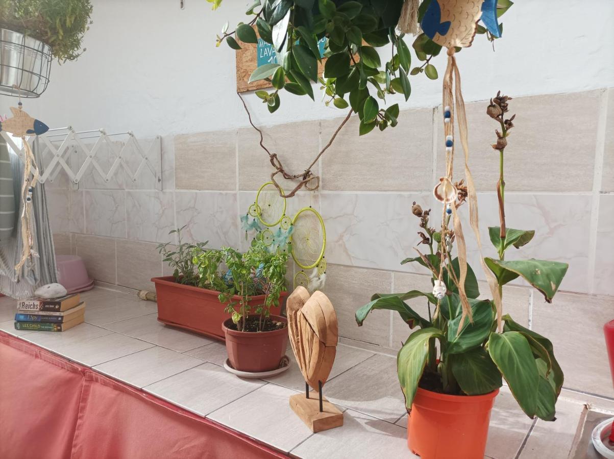 Desert Of Love Fuerteventura Διαμέρισμα Κόστα Κάλμα Εξωτερικό φωτογραφία